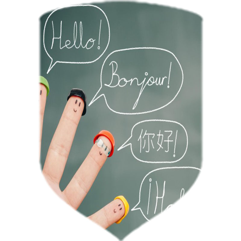 Inglés y otras lenguas extranjeras 