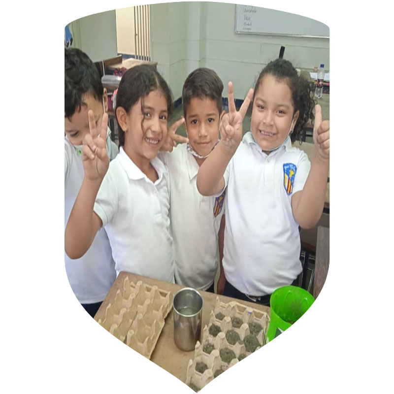Nivel de Educación Primaria